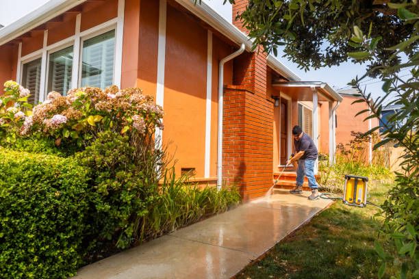 Best Affordable Pressure Washing  in Houghton Lake, MI