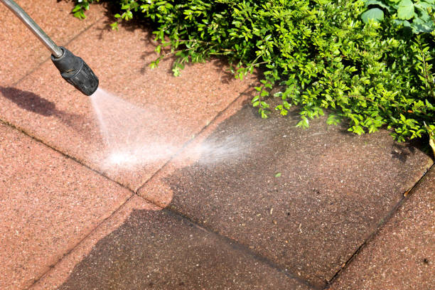 Best Pressure Washing Company Near Me  in Houghton Lake, MI